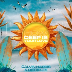 Calvin Harris & Disciples - How Deep Is Your Love (Rob Brainstorm Remix)