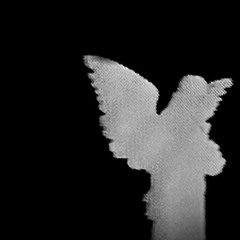 angel tears (bekzmo, krime & atalli)