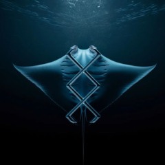 Tiësto - Drifting vs KREAM - Manta (FLEIV & Matt Gallo Mashup) [FREE DOWNLOAD]