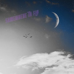 SOMEWHERE TO FLY