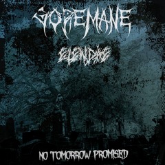 No Tomorrow Promised (Feat. Elendae)