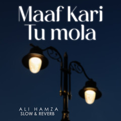 Maaf Kari Tu Mola Lofi