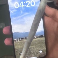 Mario Cart Championship Bling