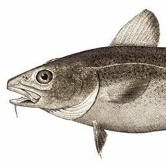 The End of the Line Episode 1: The Fish that Built America