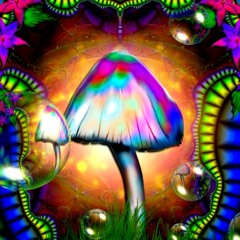 160BPM Psy-trance & Goa Lockdownsesh