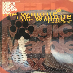 Spring (The Wildlife)
