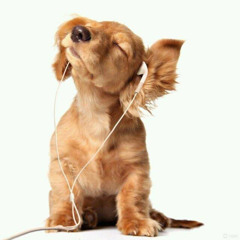 атаракс @_@ (youngslashprod wvkeh3vrt nowaycvv)