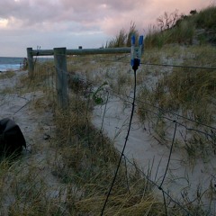 FKISM: Fencewire in the wind, Carrickalinga - May 2015