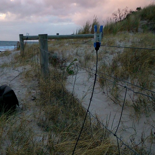 FKISM: Fencewire in the wind, Carrickalinga - May 2015
