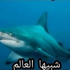 فاصل غنائي
