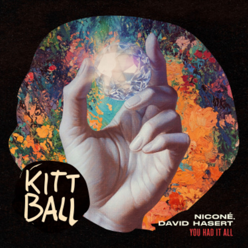 Niconé, David Hasert - You Had It All