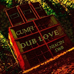 DUB LOVE  CUMFI & NIACIN  D&B  COLLAB