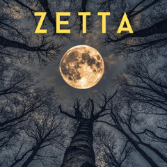 Zetta - Drum and Bass EXP ARKANE GE (4)
