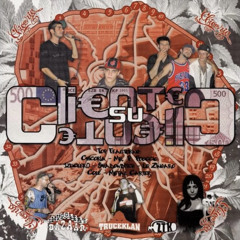 Chicoria - SE TORNERAI