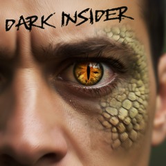 03 - Dark Insider