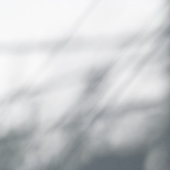 egoist