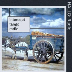 "INTERCEPT TANGO RADIO" 05 - Jendrik Rothstein & Robert Etzold 04/02