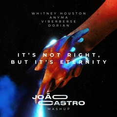 Whitney, Anyma, VIBERVERSE, Dorian - It's Not Right But It's Eternity (João Castro Mash) FREE