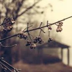 The Contingency (prod Jam)