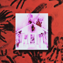 FLIES & GNATS FT MAN OF MAYHEM (PROD. LEILO)