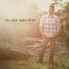 Blake Shelton - I Lived It