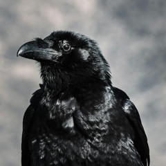 Raven's Road