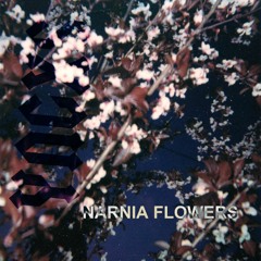 YNGXS - Flowers In Narnia