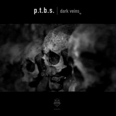 P.T.B.S. - In Your Body (Jim Solis Remix)