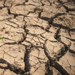 Drought(Demo)2022