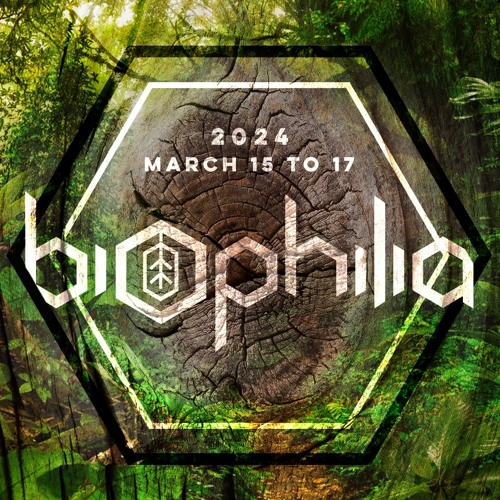Tsura at Biophilia 2024 - All Vinyl
