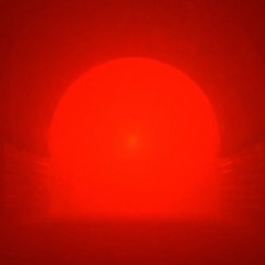 THEBASSGARDEN set// 22-06-24