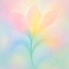 Glass Petal
