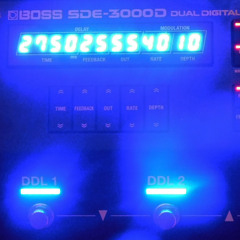 Something dies every time the echo stops