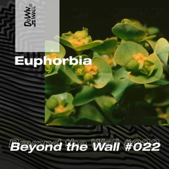 Beyond the Wall #022 Euphorbia