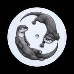 PREMIERE: Damaskus - Floating Chamber [OTTERDISC]