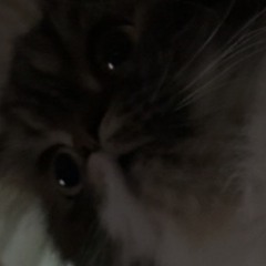 DO THAT (prod. 6mxllion)