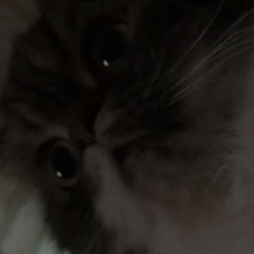 DO THAT (prod. 6mxllion)