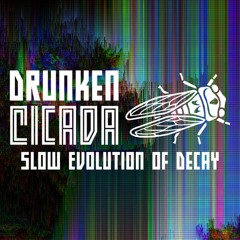 The Slow Evolution of Decay