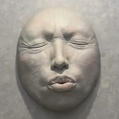 everyday, every motherfucking day (bloomcr4zy)