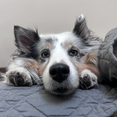 Sumthin Sumthin Gho$t Mix