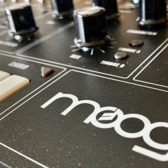 Kissed By A (Moog) Muse