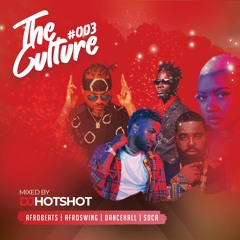The Culture 003 (Mixed By DJ Hotshot)