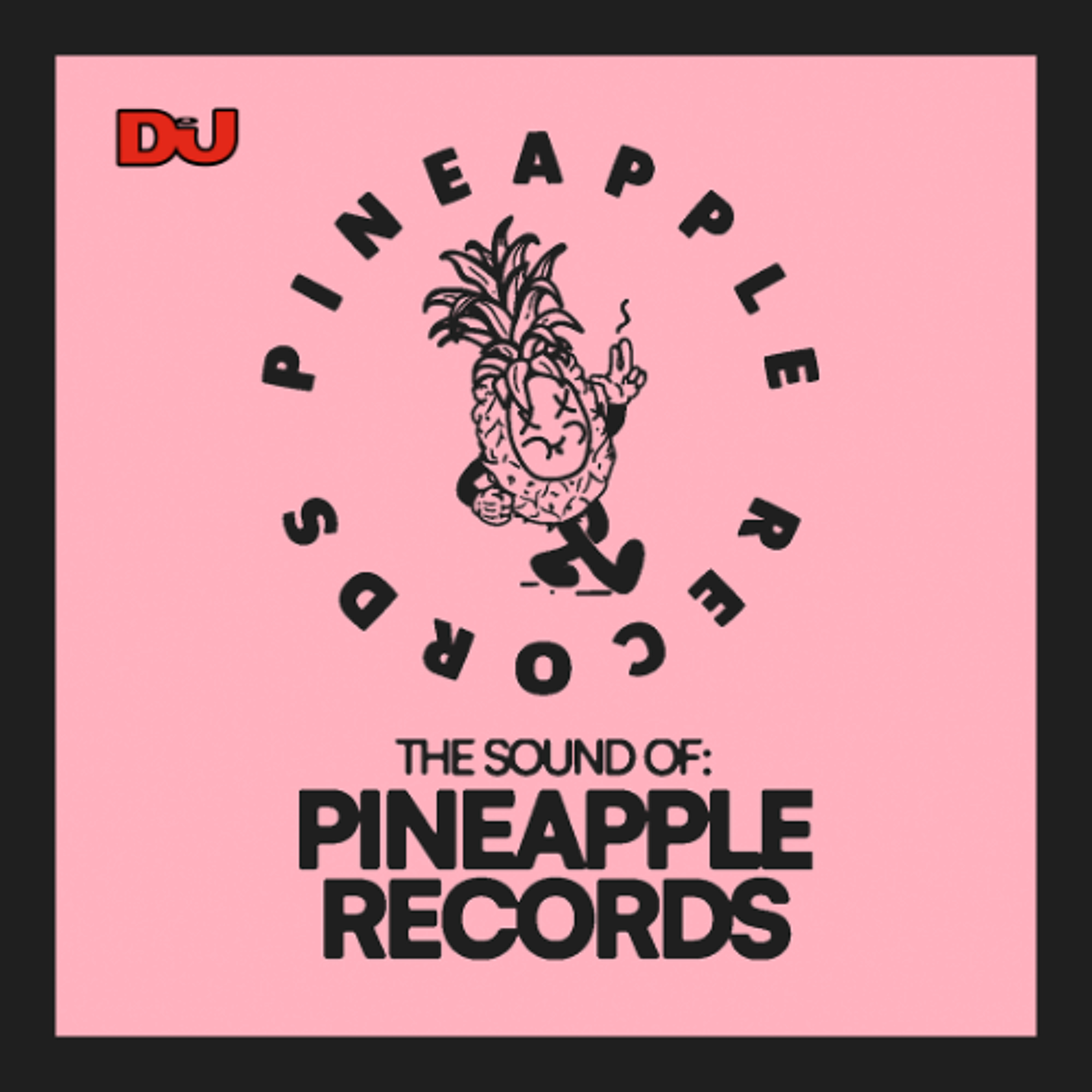 The Sound Of: Pineapple Records, mixed by HLRTY episode artwork