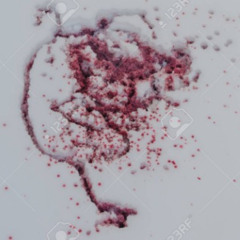 bloodnsnow
