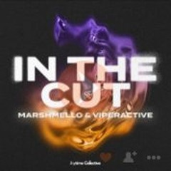 Marshmello X Viperactive - In The Cut - Bass Boosted