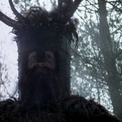 It Wants A Shrubbery