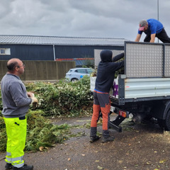 Nématode du pin : les agents de la déchetterie de Tarnos interdisent de jeter des résineux