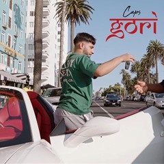 Gori