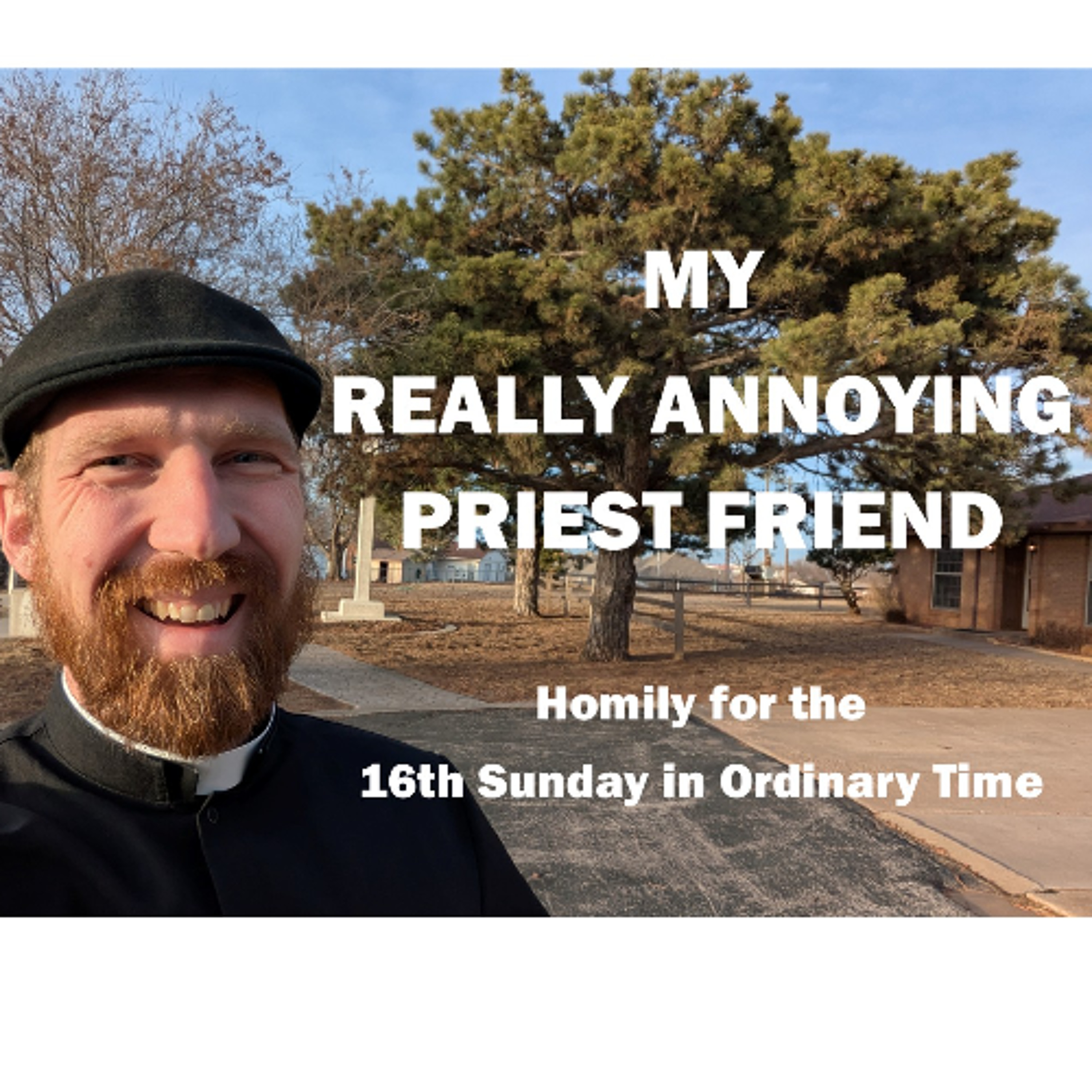 My Really Annoying Priest Friend (Homily for the 16th Sunday in Ordinary Time) episode artwork