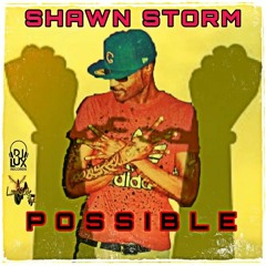 Shawn Storm - Possible [Testimony Riddim]